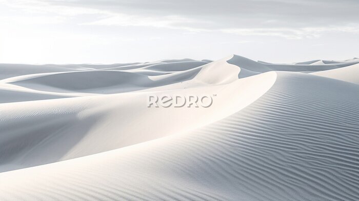 Fototapete sand dunes in park HD 8K wallpaper Stock Photographic Image