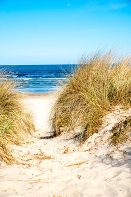 Fototapete Sanddüne am Strand