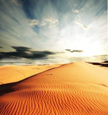 Fototapete Sandfeld in der Wüste