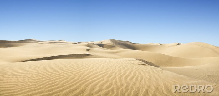 Fototapete Sandige Wüste