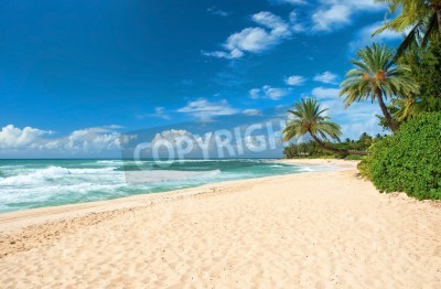 Fototapete Sandiger leerer tropischer Strand