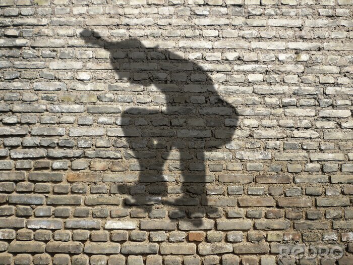 Fototapete Schatten vom Skater auf Mauer