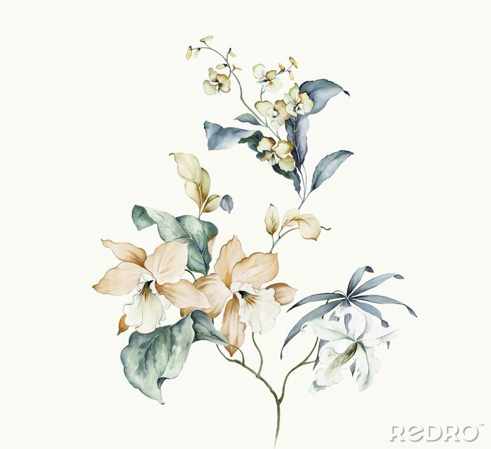 Fototapete Schläfrige Orchidee in Weiß mit blauen Blättern