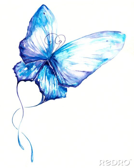 Fototapete Schmetterling Aquarell gemalt.