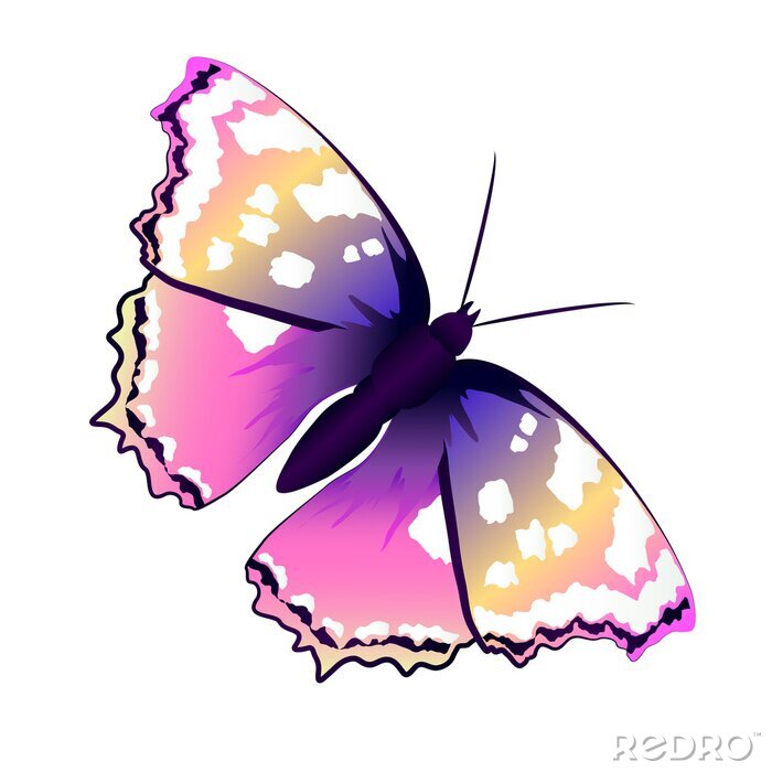 Fototapete Schmetterling auf hellem Hintergrund