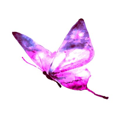 Fototapete Schmetterling im Tie-Dye-Stil