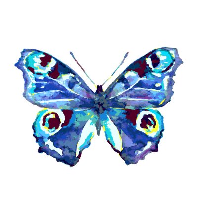 Fototapete Schmetterling mit Augen auf den Flügeln