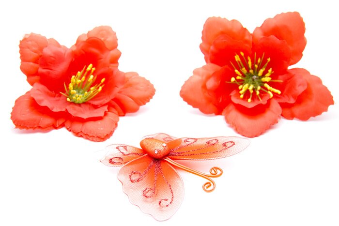 Fototapete Schmetterling mit Blumen