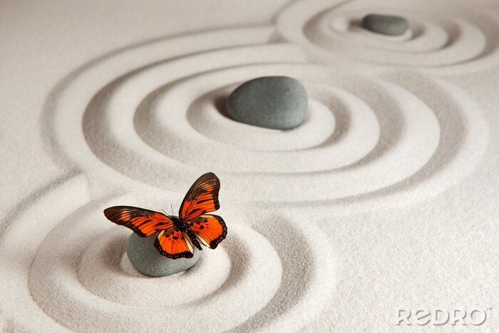 Fototapete Schmetterling mit Steinen im Hintergrund