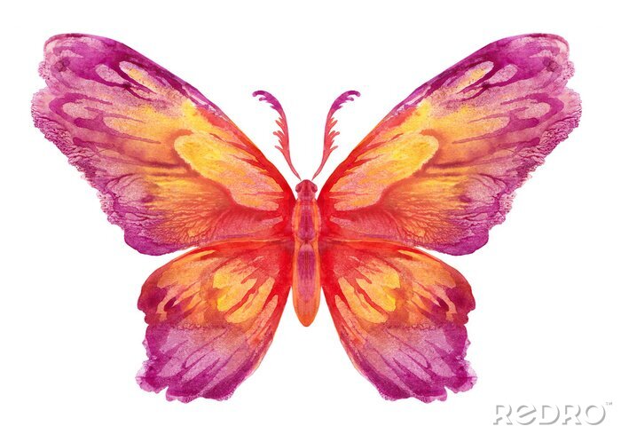 Fototapete Schmetterling-Muster mit warmen Farben