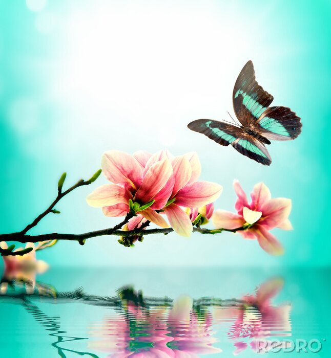 Fototapete Schmetterling über dem Wasser