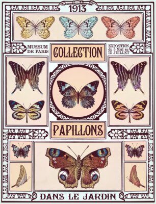 Schmetterling Vintage Kollektion