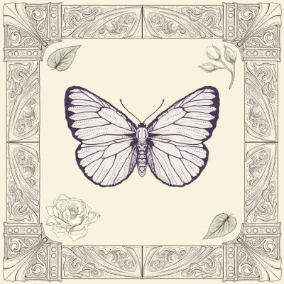 Schmetterling vor ornamentaler Illustration