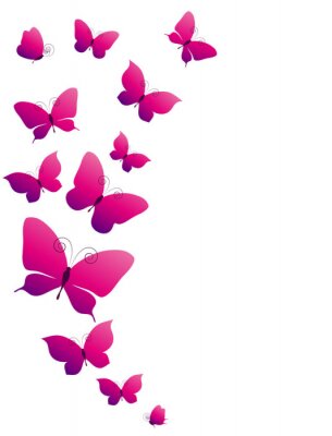 Schmetterlinge 3D in Rosa