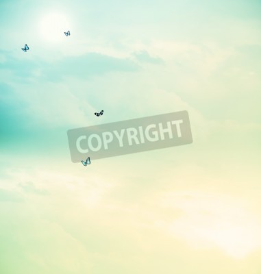 Fototapete Schmetterlinge am pastellfarbenen Himmel
