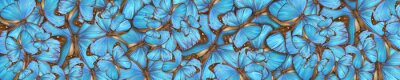 Fototapete Schmetterlinge Blau