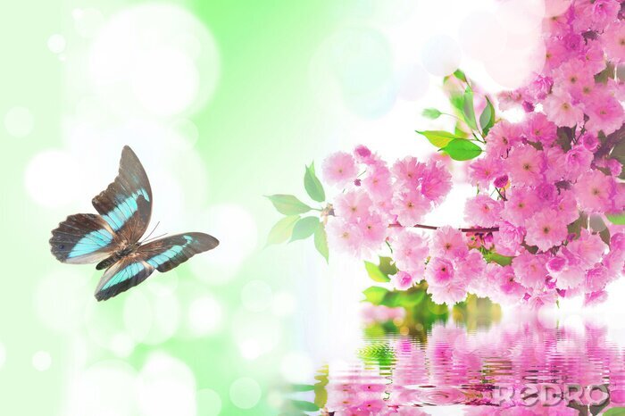 Fototapete Schmetterlinge Blau zwischen rosa Blumen