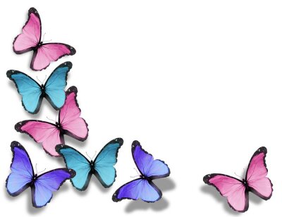 Fototapete Schmetterlinge für das kleine Mädchen bunt