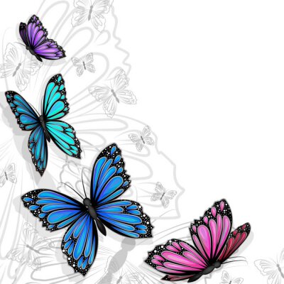 Fototapete Schmetterlinge mit grauen Formen im Hintergrund