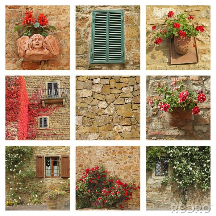 Fototapete Schmuckvolle blumentöpfe auf wänden