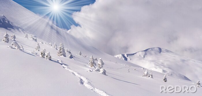 Fototapete Schneebedeckte Felder