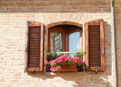 Fototapete Schöne Blumen bei Holzfenster