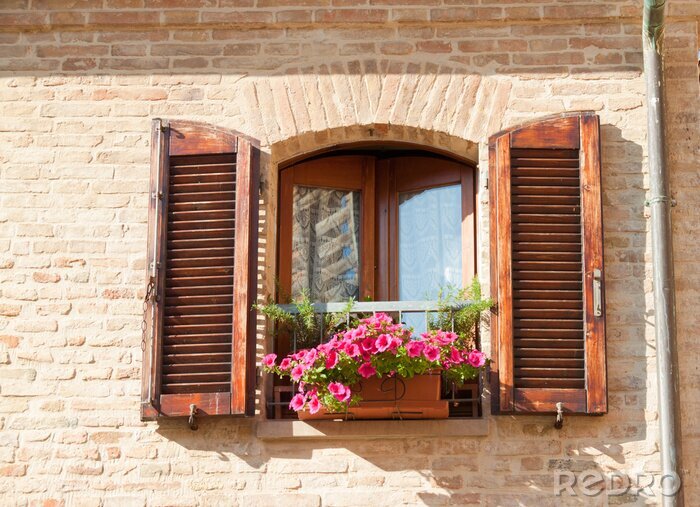 Fototapete Schöne Blumen bei Holzfenster