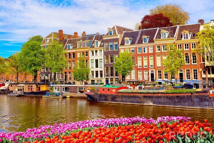 Fototapete Schöne Landschaft von Amsterdam