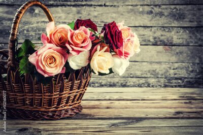 Fototapete Schöne Rosenblüten