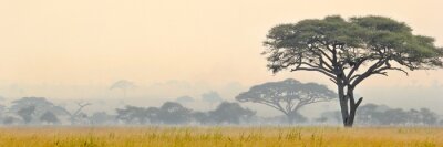 Fototapete Schöne Szene des Serengeti Nationalparks