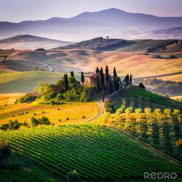 Fototapete Schöne Toskana im Sonnenschein
