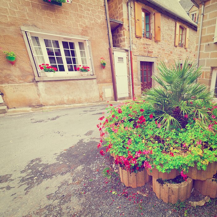 Fototapete Schöner Garten vor dem Haus