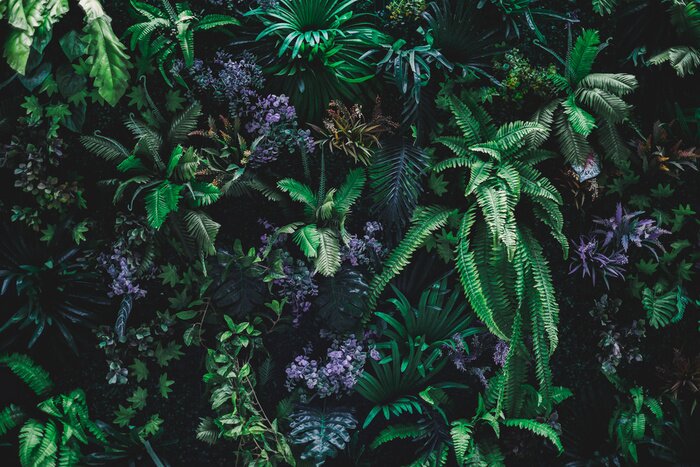 Fototapete Schöner Naturhintergrund