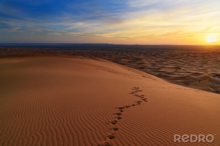 Fototapete Schritte durch die Wüste