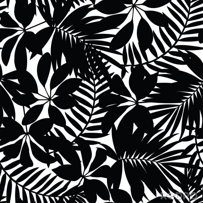 Fototapete Schwarz und weiß tropische Blätter nahtlose Muster