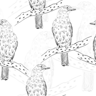 Fototapete Schwarz-Weiß-Skizze mit Vögeln