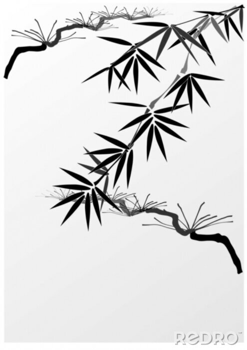 Fototapete Schwarz-weiße Bambusblätter