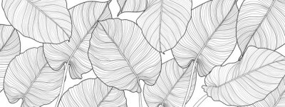 Schwarz-weiße Blätter in einer minimalistischen Ästhetik