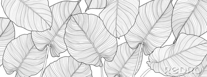 Fototapete Schwarz-weiße Blätter in einer minimalistischen Ästhetik