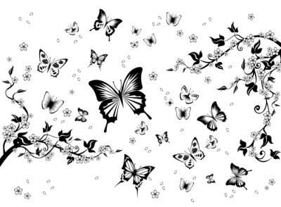 Fototapete Schwarz-weiße Blumen und Schmetterlinge