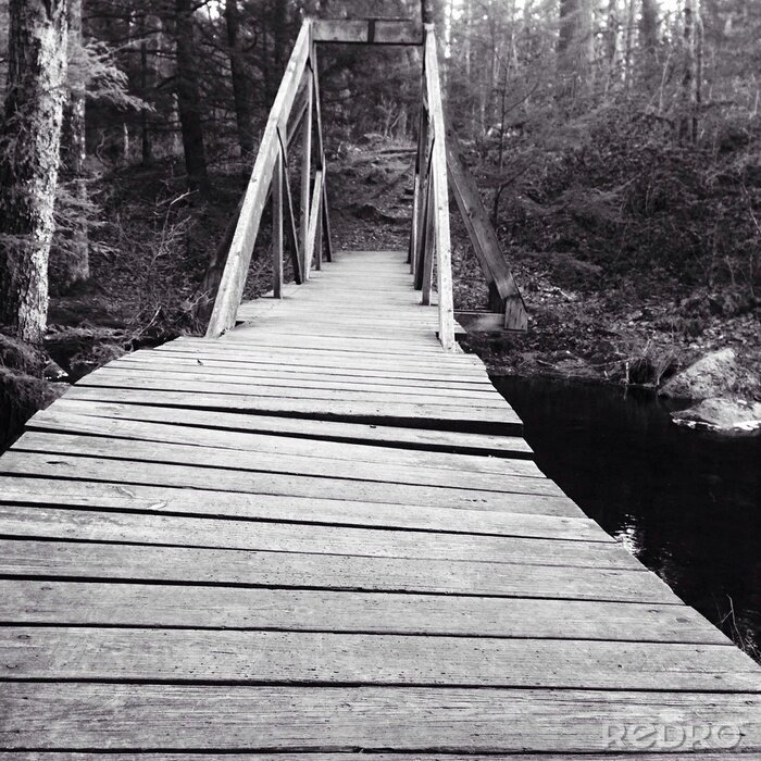 Fototapete Schwarz-weiße Brücke im Wald