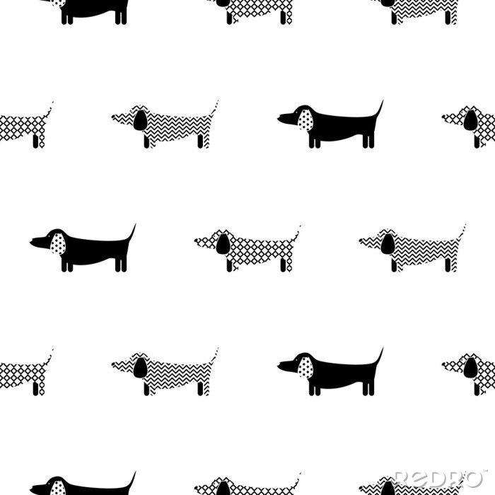 Fototapete Schwarz-weiße gemusterte Hunde