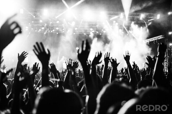 Fototapete Schwarz-weiße Menschenmenge beim Konzert