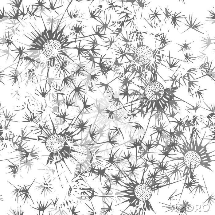 Fototapete Schwarz-weiße Pusteblumen als Grafik