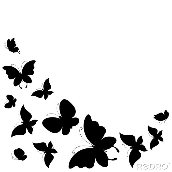 Fototapete Schwarz-weiße Schmetterling-Silhouetten