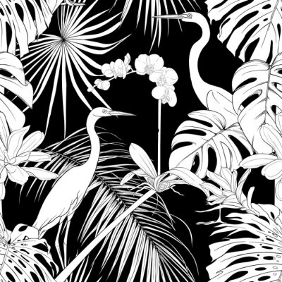 Schwarz-weiße Vögel inmitten tropischer Pflanzen