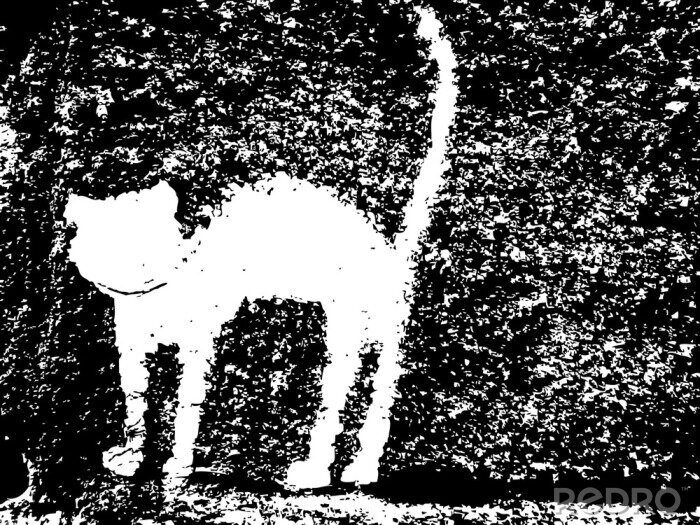 Fototapete Schwarz-weiße Zeichnung mit Katze