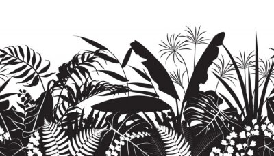 Schwarz-weiße Zeichnung tropischer Blätter