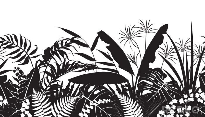 Fototapete Schwarz-weiße Zeichnung tropischer Blätter