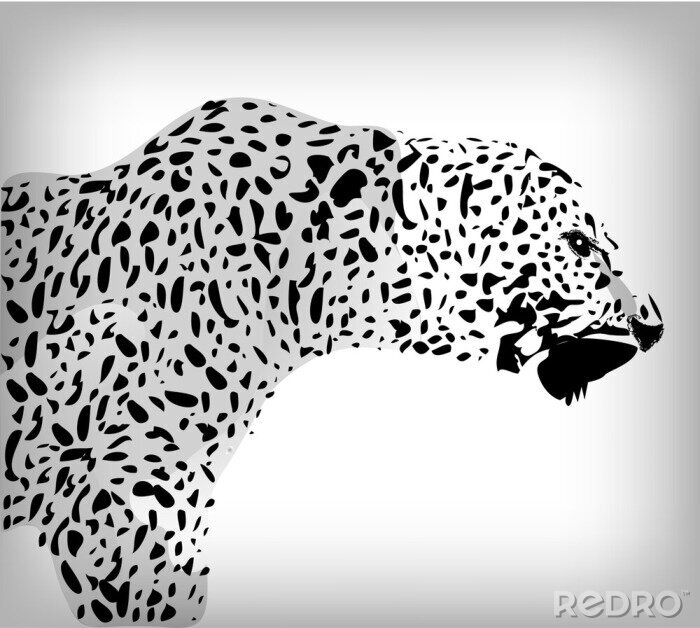 Fototapete Schwarz-weißer Leopard